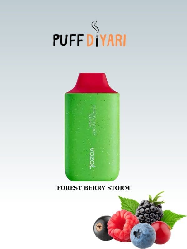 VOZOL STAR 6000 PUFF DİSPOSABLE VAPE FOREST BERRY STORM