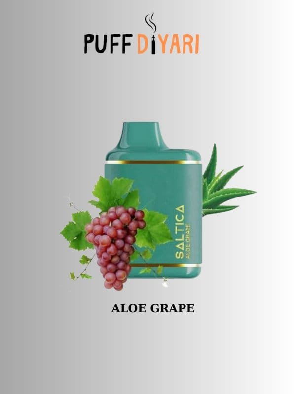 SALTICA LEATHER 6000 PUFF DISPOSABLE VAPE BAR ALOE GRAPE