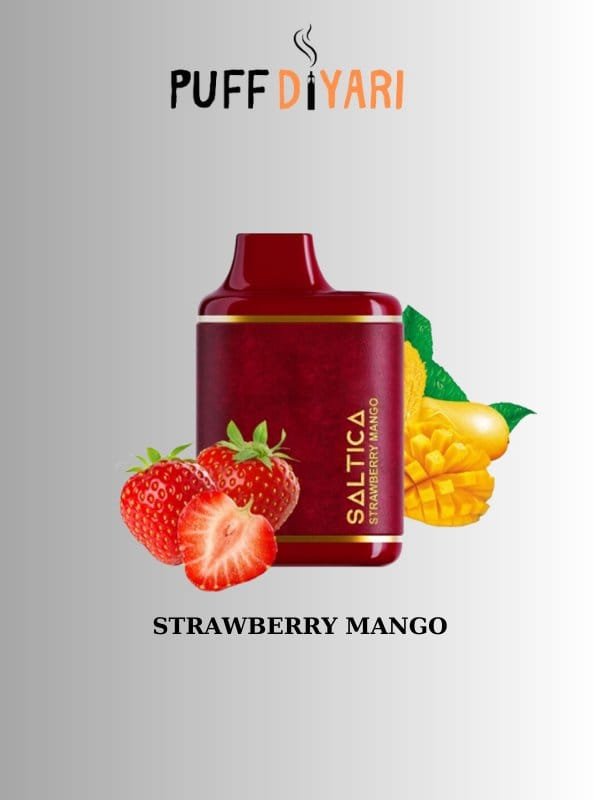 SALTICA LEATHER 6000 PUFF DISPOSABLE VAPE BAR STRAWBERRY MANGO