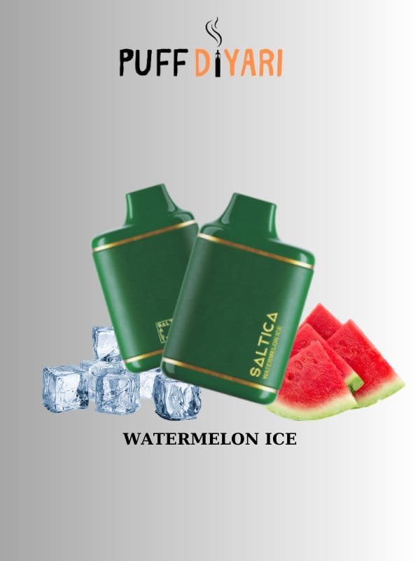 SALTICA LEATHER 6000 PUFF DISPOSABLE VAPE BAR WATERMELON ICE